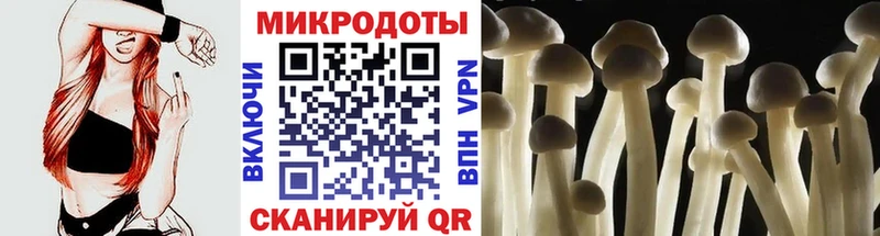 Псилоцибиновые грибы GOLDEN TEACHER  Тотьма 